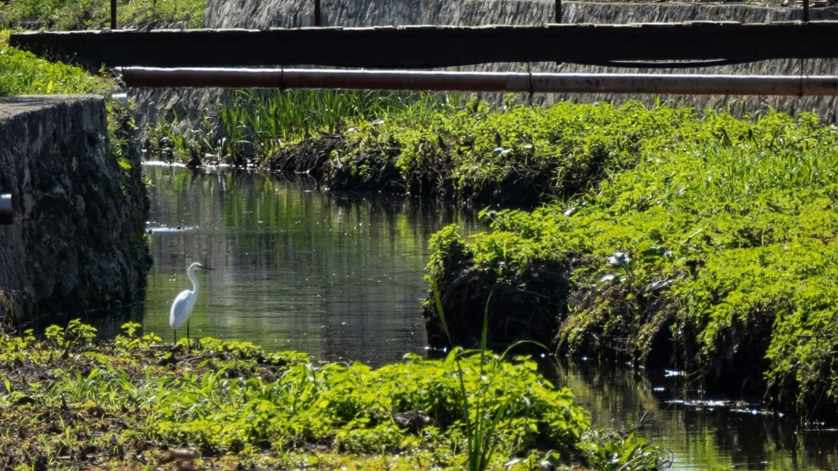 🚴&zwj;♂️ &ldquo;La Primavera della Bolla&rdquo;: a Napoli un progetto tra ambiente, arte e mobilit&agrave; sostenibile