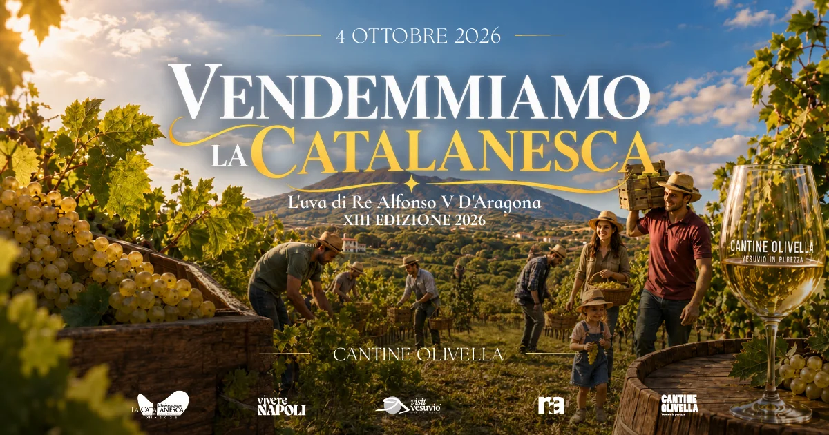 🍇 Vendemmiamo la Catalanesca: raccolta dell&rsquo;uva, degustazioni e pranzo tra i vigneti del Vesuvio
